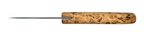 Tundra